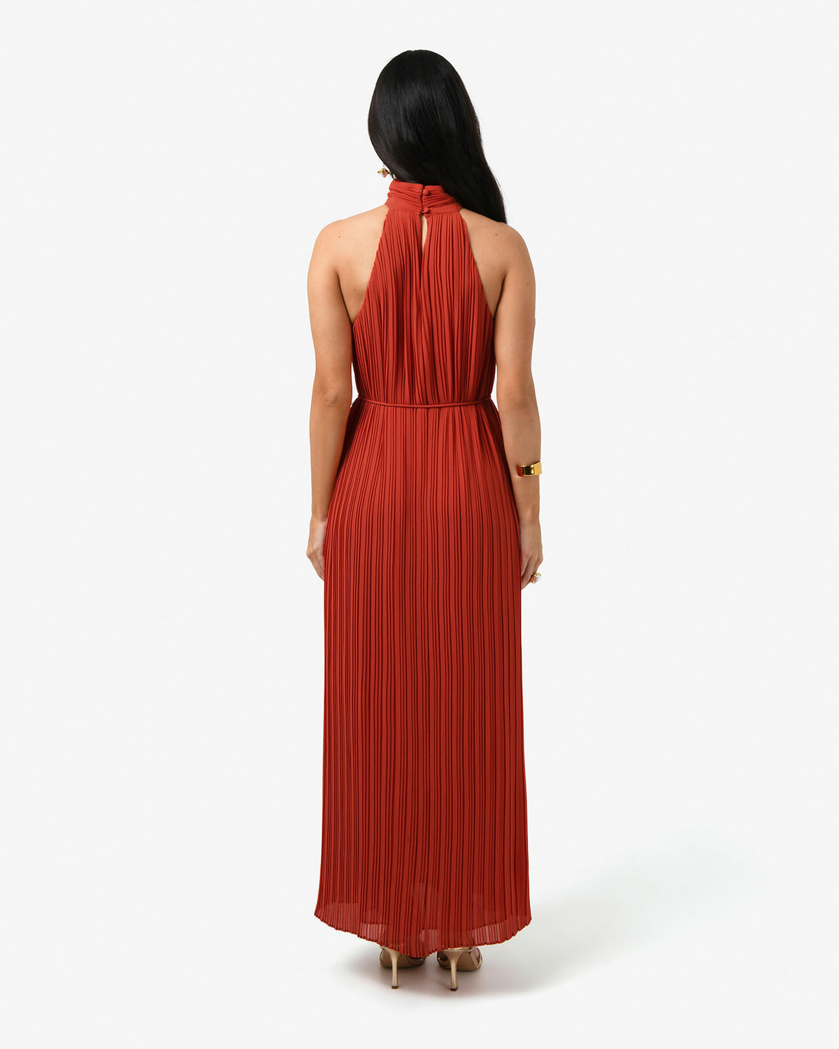Shelly Chiffon Pleated Dress in burnt orange — back view